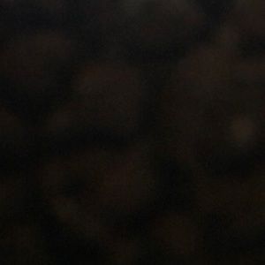 Meet your Posher, Carla